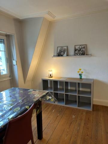 Beau F3 - Proche Gare Apartment Mulhouse Exterior photo